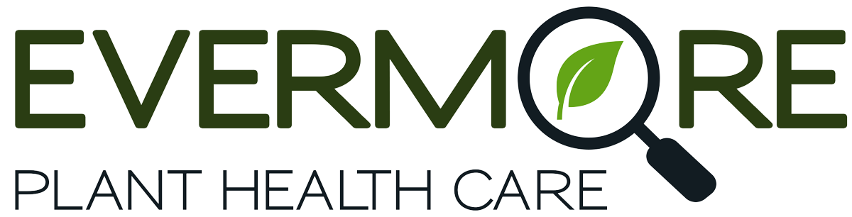 Evermore Plant Health Care