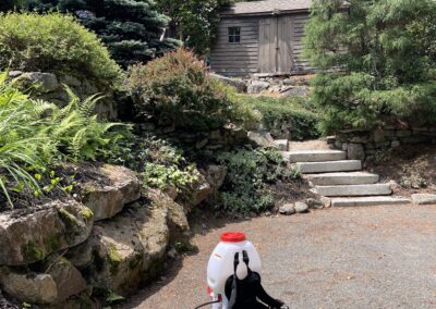 Landscaped backyard protected by Evermore's tick and mosquito control service